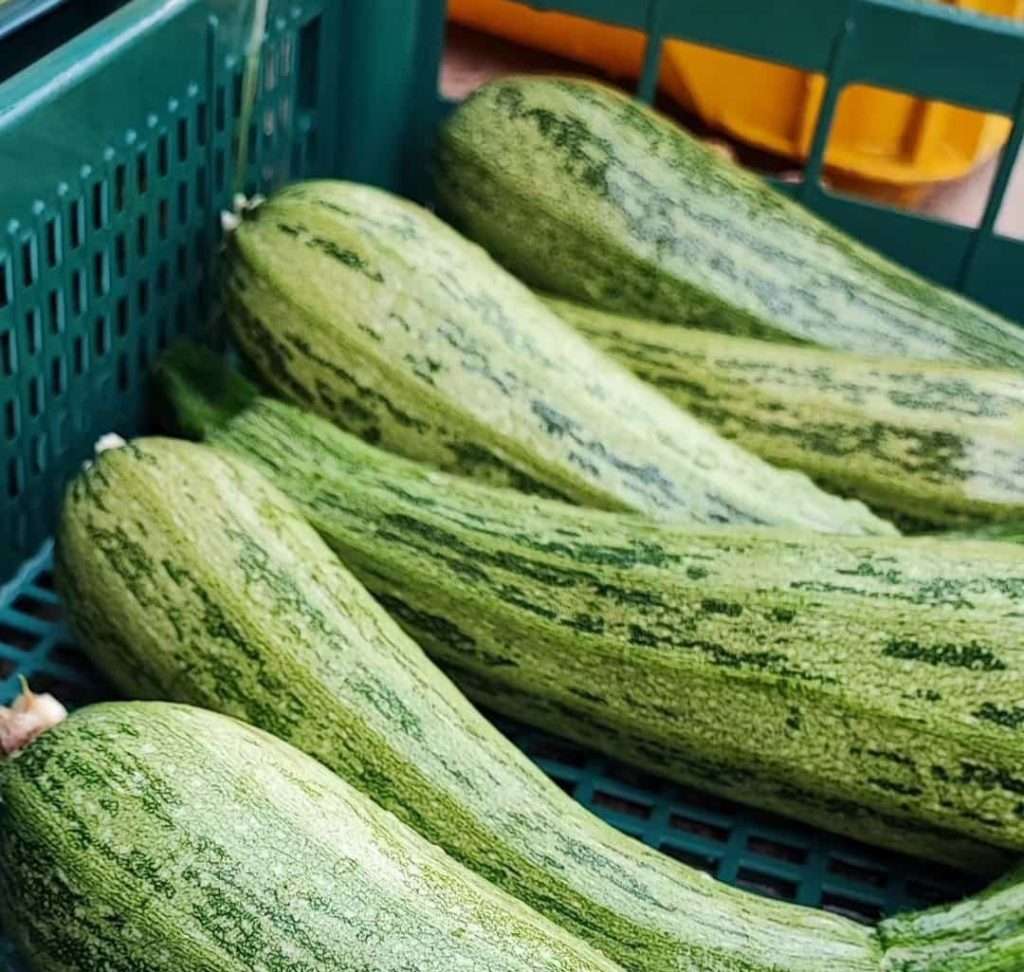 Zucchine biologiche cosenza